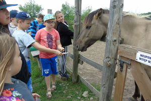 Ośrodek Edukacji Ekologicznej w Krośnicach