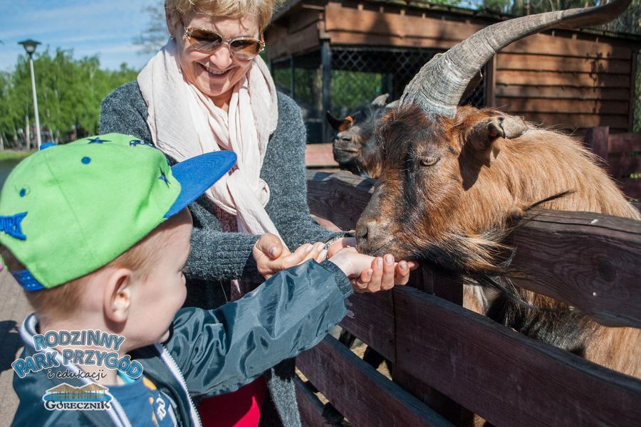 Rodzinny Park Przygód I Edukacji Górecznik Lekcje blisko przyrody w Rodzinnym Parku Przygód i Edukacji Górecznik