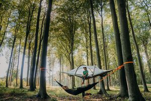 Nocleg w lesie - wypożyczanie wiszących namiotów