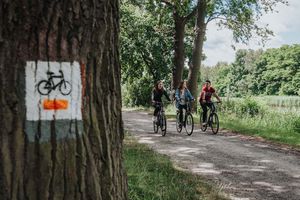 Wypożyczalnia rowerów w CET Naturum, Ruda Sułowska