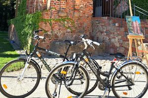 Wypożyczalnia rowerów i lornetek w Zespole Pałacowo-Parkowym w Żmigrodzie